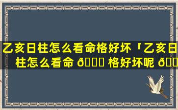 乙亥日柱怎么看命格好坏「乙亥日柱怎么看命 🐝 格好坏呢 🌹 」